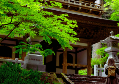 Forest bathing in Hakone Geopark