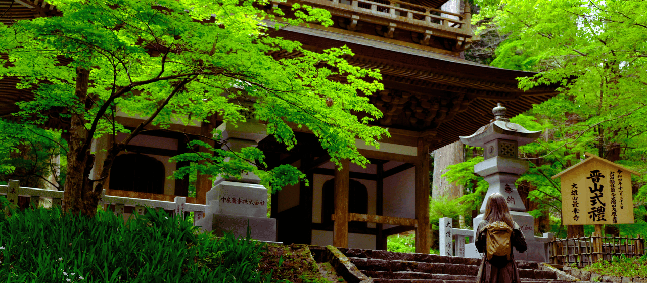 forest bathing in hakone geopark