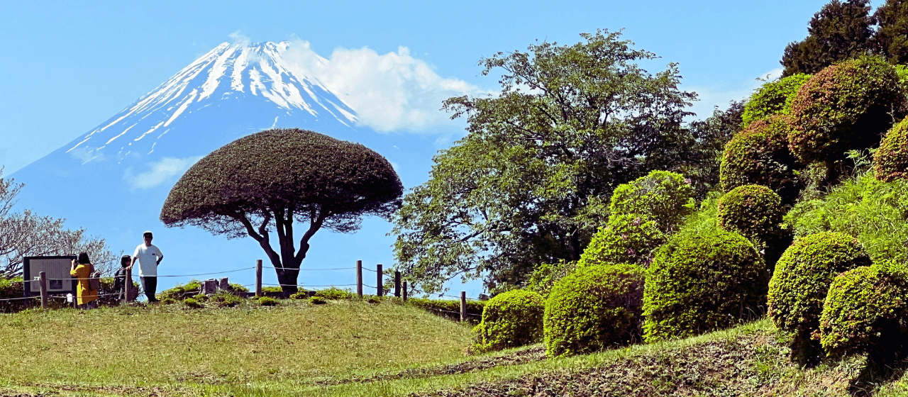 Hike Japan Heritage Hakone Hachiri of Old Tokaido Highway