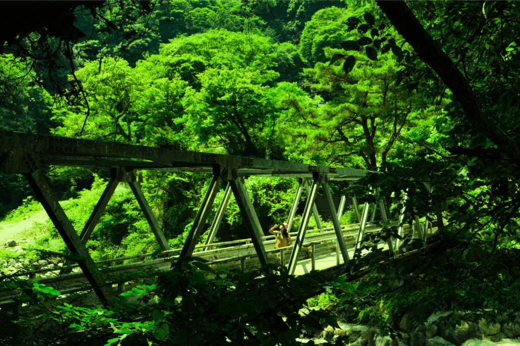 Gentle woodland walking in a quiet Hakone valley