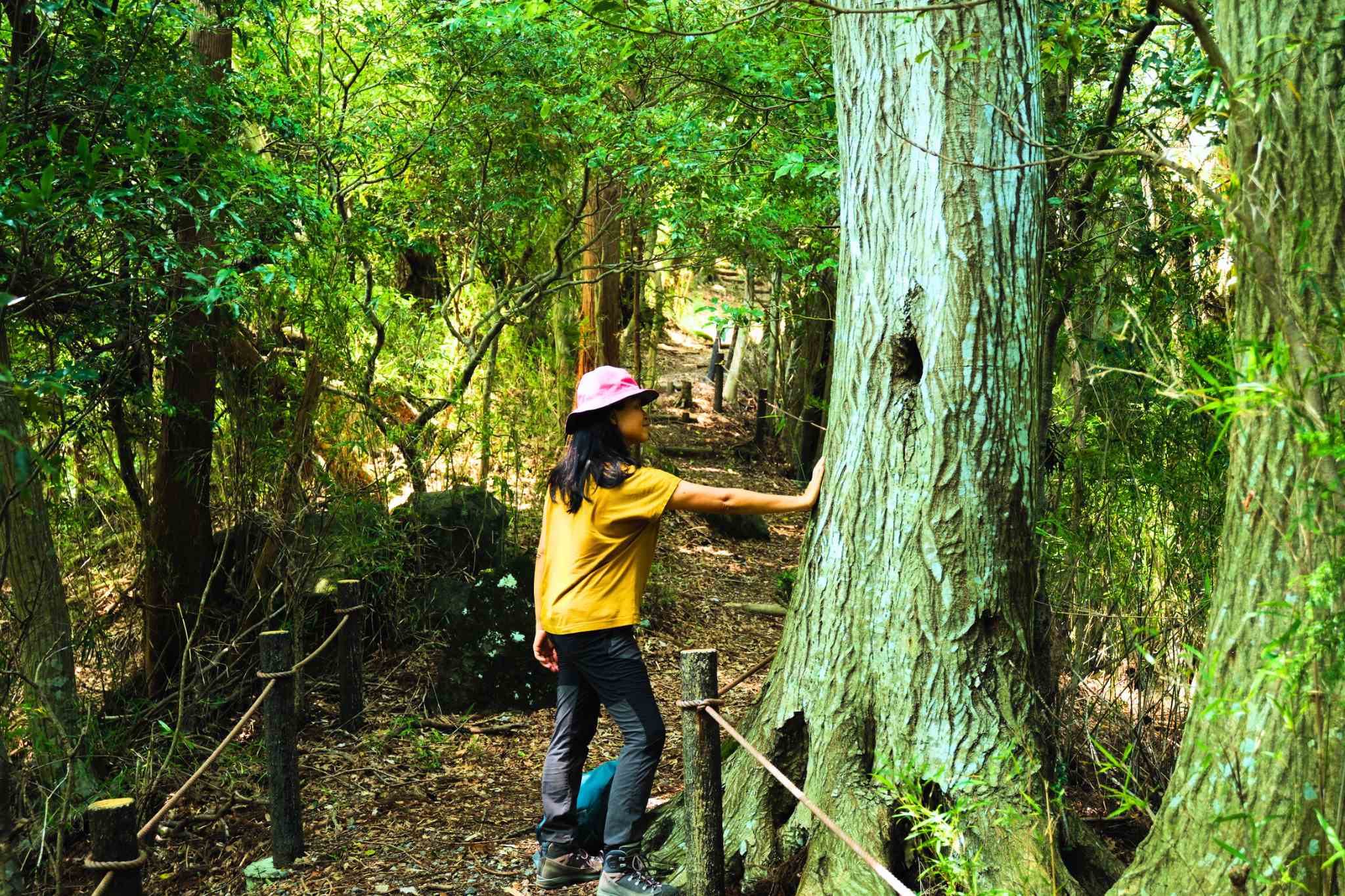 Hakone Valley Walking Tour by Coconuts Hike Japan