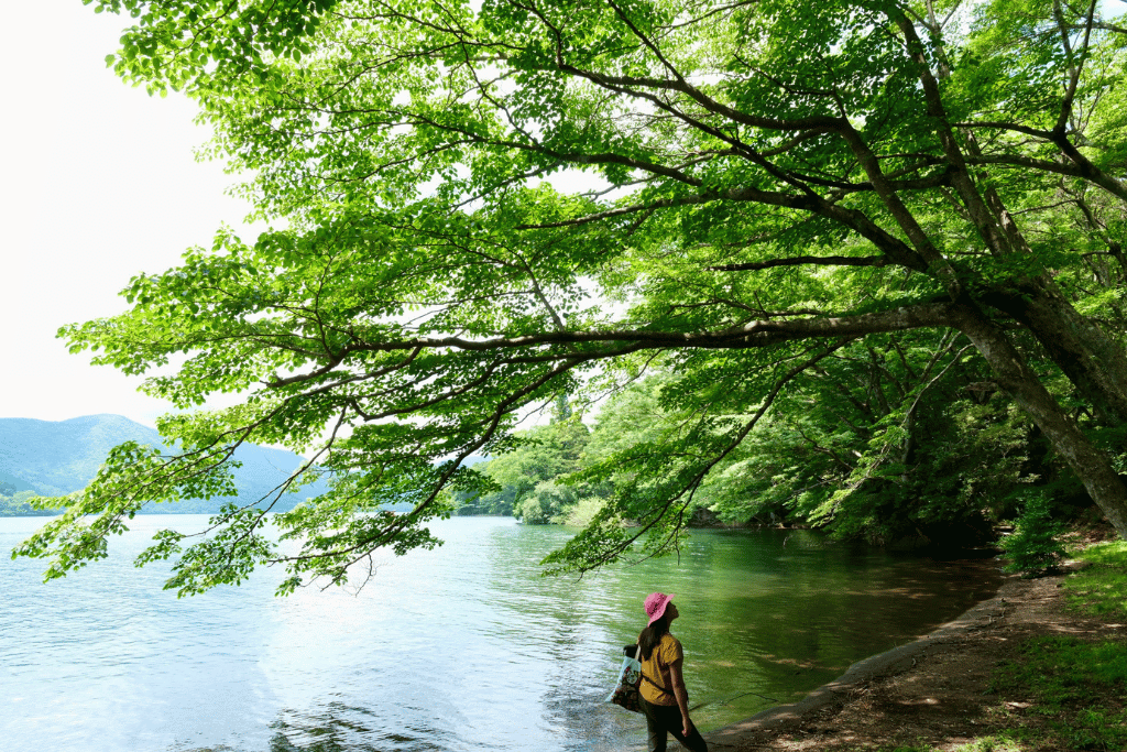 Shinri-yoku at Hakone Lakeshore