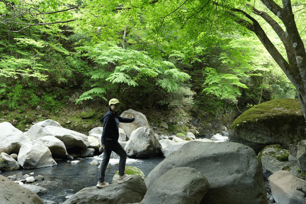 Forest Bathing Hakone Geopark