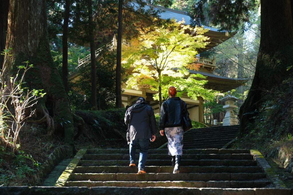 Forest bathing among green trees at a Buddhist temple in Hakone