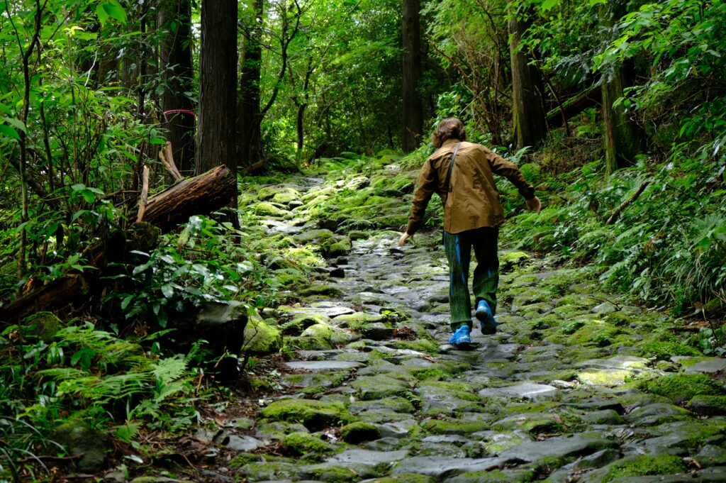 Moss-covered cobblestones on the historic Old Tokaido Road