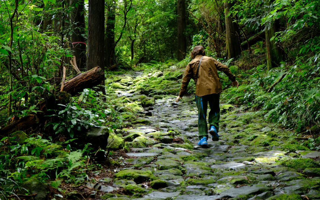 Is it useful to have a guide in Hakone?