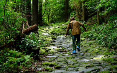 Is it useful to have a guide in Hakone?