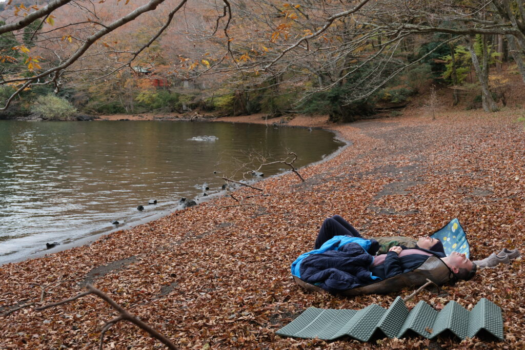 Learning what Shrinrin-yoku means for Japanese
