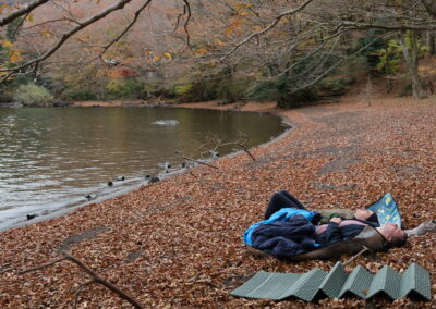 Learning what Shrinrin-yoku means for Japanese