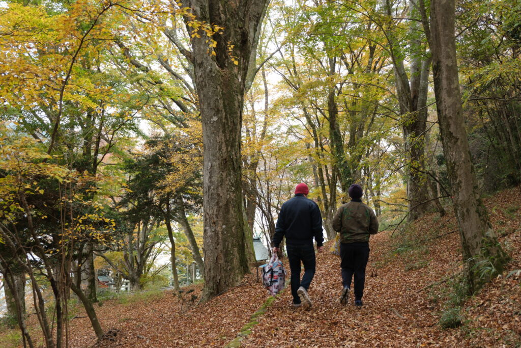 Autumn colour along the trail