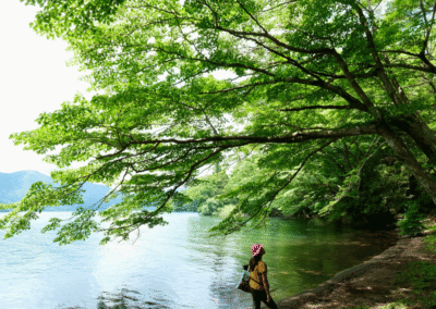 Shinrin-yoku Forest Bathing Hakone Lakeshore