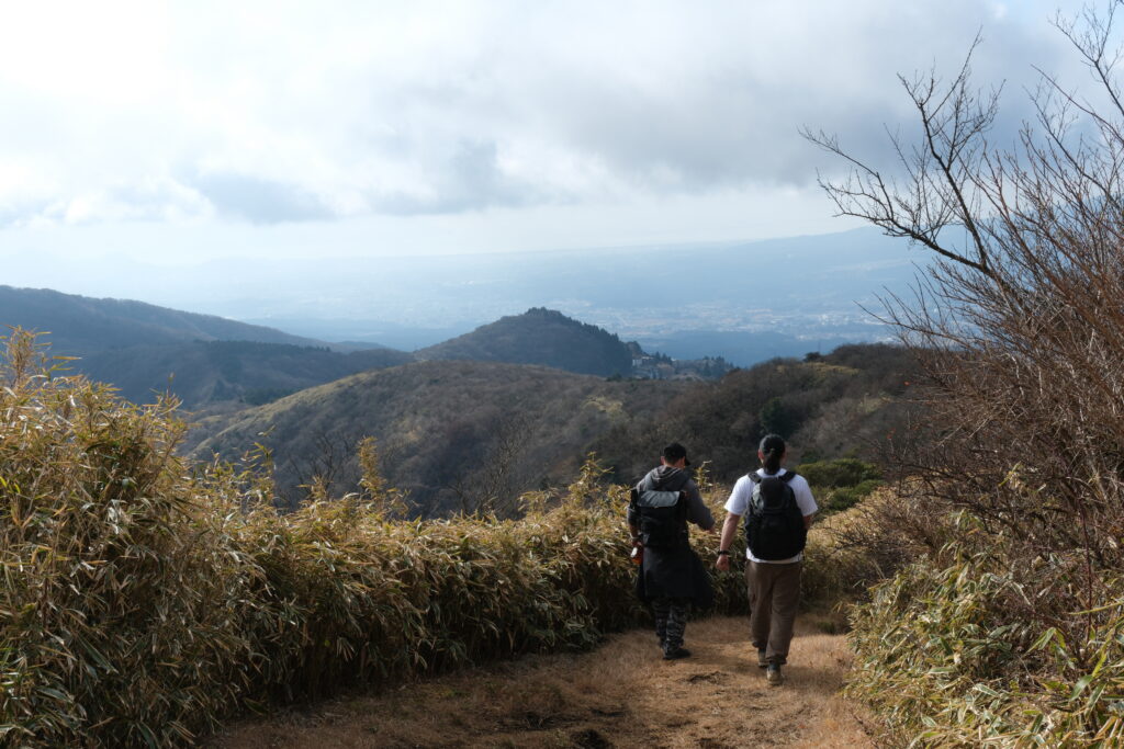 Forest trail on the Hakone Caldera traverse route