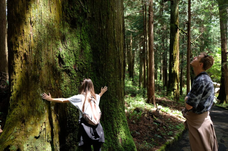 WHY THE FOREST FEELS DIFFERENT — AND WHY THAT MATTERS FOR YOU