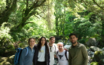 Hakone Unlocked: 5 Can’t-Miss Experiences in Japan’s Hot Spring Paradise