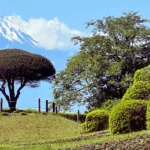 Old Tokaido Highway landscape on the full-day Hakone Hachiri tour