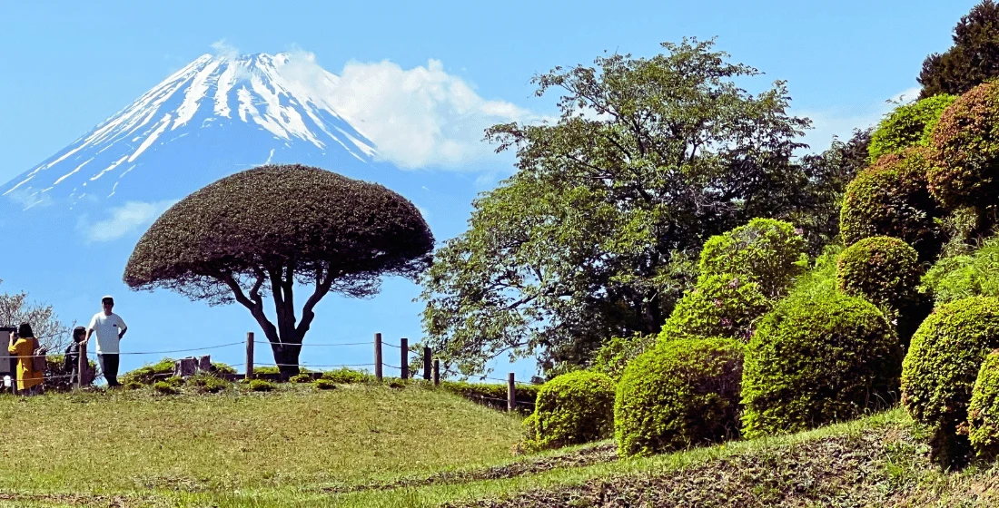 Old Tokaido Highway landscape on the full-day Hakone Hachiri tour