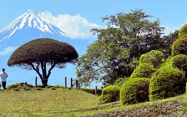 Old Tokaido Highway landscape on the full-day Hakone Hachiri tour