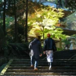 Cedar forest and historical temple on the forest walk and onsen tour