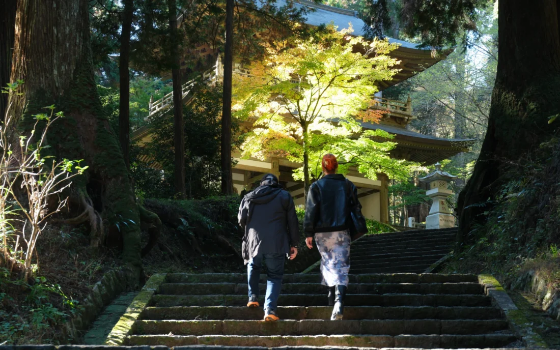 Cedar forest and historical temple on the forest walk and onsen tour