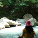 Green Hakone valley and forest on the Valley Walk & Forest Bathing tour