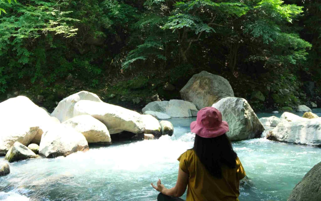 Green Hakone valley and forest on the Valley Walk & Forest Bathing tour