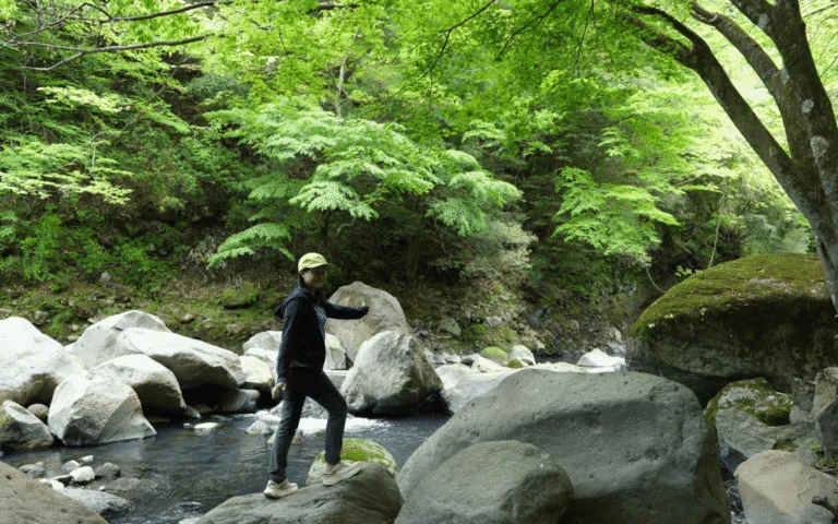 Green Hakone valley and forest on the Valley Walk & Forest Bathing tour