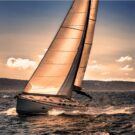 L.A. Food &amp; Wine Avatar